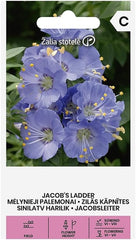 Zalia Stotele | Jakobsleiter - BLAUE PALAMONEN Samen | Mehrjährige Blumen Für Schattige Standorte | Blühen Im Zeitigen Frühjahr | Blumensamen | Pflanzensamen | 1 Pack