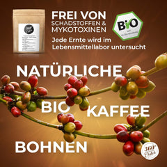 Premium Bio Kaffeebohnen 1000g, 100% Honduras Hochland Arabica Kaffeebohnen Bio - Köstlich, mild, säurearm - Bio Kaffee ganze Bohnen - Ideal als Kaffeebohnen Vollautomat - 360° Rundum Ehrlich