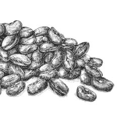 BioGourmet Linsen Beluga Demeter, 250g