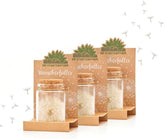 Die Stadtgärtner – 3X Wunscherfüller I Echte Pusteblume Im Glas I Ewig Haltbar I Perfekte Geschenkidee Für Jeden Anlass I Geschenke Für Frauen & Freundin