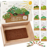 Samen-Anbauset mit Holzkiste und 8 Sorten Pflanzensamen: Gemüse-, Erdbeer- und Kräutersamen-Anbauset für Kinder – Mini-Gewächshaus und Mini-Garten-Starter-Set von OwnGrown