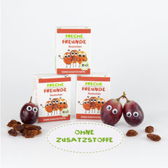 FRECHE FREUNDE Bio Rosinen, Trockenfrüchte ohne Zucker, ohne Zusatzstoffe, ungeschwefelt, in kleinen Snackboxen, Sultaninen für Kinder, 20er Pack, 20 x (3x14g)