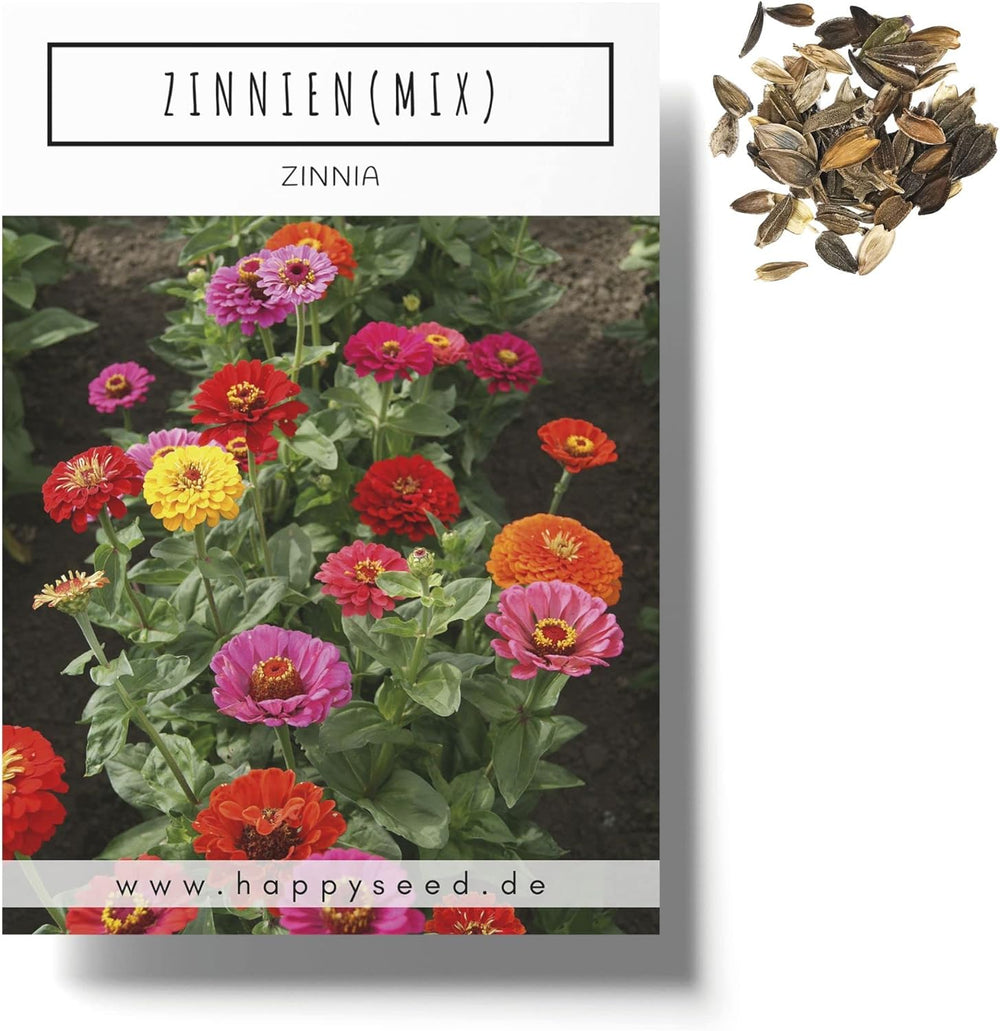 Zinnien-Samenmischung (Zinnia) – Bunte Sommerblumen für Gartenbeet, Balkon, Terrasse und als Schnittblumen in Vasen