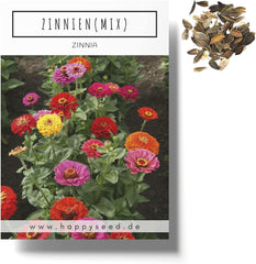 Zinnien-Samenmischung (Zinnia) – Bunte Sommerblumen für Gartenbeet, Balkon, Terrasse und als Schnittblumen in Vasen