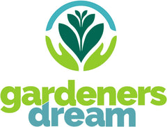 Gärtnertraum: 4 echte Tillandsia-Pflanzen – 4 echte Tillandsia-Luftpflanzen – Terrarienpflanzen – dekorative Terrarienpflanzen – luftreinigende Zimmerpflanzen – dekorative Pflanzen – echte Pflanzen