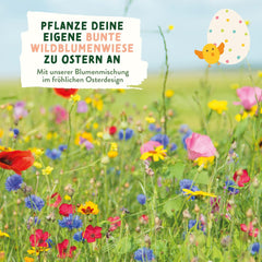 Wildblumenwiesesamen | Ostergeschenk-Blumensamen, Ostergrassamen | Osterblumensamen und Ostergeschenke für Kinder | Wildblumensamen | Samenpakete für eine Wildblumenwiese