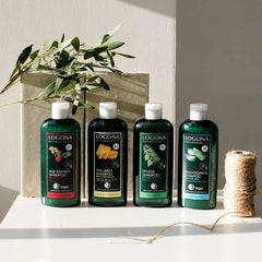 LOGONA Naturkosmetik, Shampoo, Bio-Koffein, vegane Formel, 250 ml Dusche und Bad Naty Shop