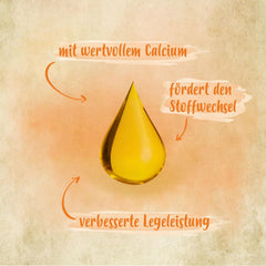 Ida Plus - GoldenEgg 200 ml - reduzierte Brucheier & Federfressen - unterstütztes Federwachstum & Federkleid - Wichtige Mineralien & Vitamine für Hühner - Beste Eierqualität bei Ihrer Hühnerhaltung