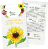 Gelbe Diskus-Sonnenblumensamen (Helianthus annuus): Premium-Sonnenblumensamen, Sonnenblumenkerne für den Anbau von etwa 20 Sonnenblumenpflanzen – insektenfreundliche Blumensamen von OwnGrown