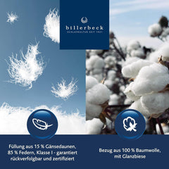 Billerbeck down pillow Martina - Pernă în 80 X 80 Cm - Pernă cu suport ferm - Gâscă jos 15% și pene 85% Perne standard Naty Shop