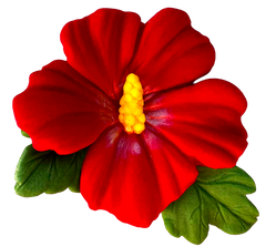 Essbare Hibiskusblüte kaufen – Tortendeko 9,5 cm handgemacht
