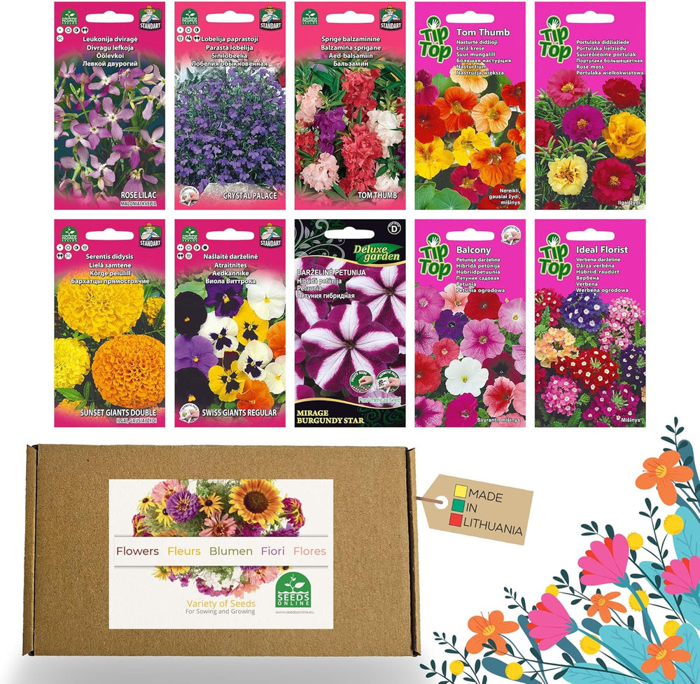 Nojus Blumensamen-Set – 10 Sorten Blumensamen – Balkonblumensamen – bunte Pflanzensamen – 10 Packungen – Wildblumensamen – Blumensamenbeutel – ideales Blumensamen-Geschenk
