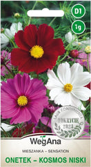 Cosmos Sensation Mix 1g Samen, Cosmos Mix Sommerblumen, Gartenpflanzen Balkonpflanzen, Blumensamen