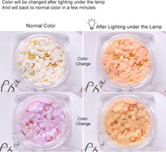 6 Box 3D Blumen Nagelkunst Charms, Acryl Blumen Nagel Strass Mit Gold Und Silberperlen Ornamenten, Nagel Edelsteine, Nagel Zubehör Für Mädchen, Frauen, DIY Nageldesign, Basteldekoration…