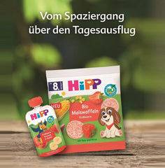HiPP Mini Biscuiți cu Unt și Inimi de Ovăz și Vanilie (12 x 40g), de la 1 an, gustare batonă organică în formă de inimă, cu conținut ridicat de cereale și fibre, îndulcită doar cu fructe, de cea mai bună calitate organică