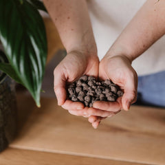 Westland Tongranulat, 5 l – Granulat für Pflanzen, ideal für Hydrokulturen, Drainagesubstrat ohne chemische Zusätze, für den Innen- und Außenbereich