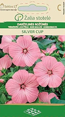 BECHERMALVE SILVER CUP | Einjährig Pflanze | Blumensamen | Die Bechermalve Wächst Krautig Bis Buschig | Pflanzensamen | 1 Pack