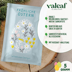 Wildblumenwiesesamen | Ostergeschenk-Blumensamen, Ostergrassamen | Osterblumensamen und Ostergeschenke für Kinder | Wildblumensamen | Samenpakete für eine Wildblumenwiese