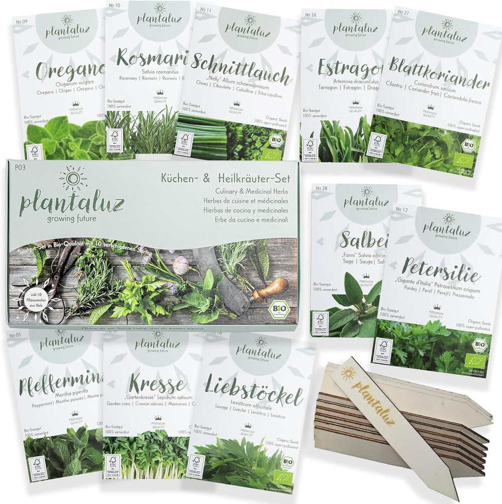 Plantaluz Premium Bio-Samen-Set P03 – Kulinarik- und Heilpflanzen-Samen-Set für Garten, Balkon und Innenbereich – inkl. Samen FSC-Pflanzstäbchen – Frei bestäubte, unbehandelte und gentechnikfreie Bio-Samen