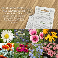 Blumensamen für Garten und Balkon: 10 Sorten Premium-Blumensamen als Pflanzensamen-Set - Balkonblumensamen - Wildblumensamen für Balkon und Garten von OwnGrown