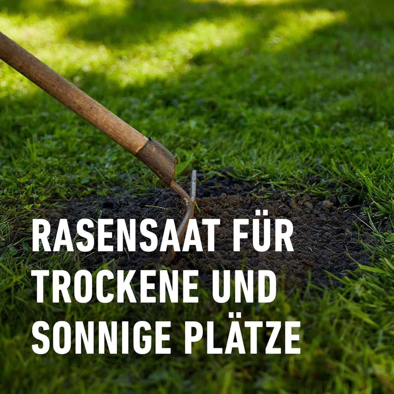 COMPO SAAT Trocken-Rasen, Hitze- Und Trockenverträgliche Rasensamen/Grassamen Für Trockene Und Sonnige Standorte, 2 Kg, 80 M²