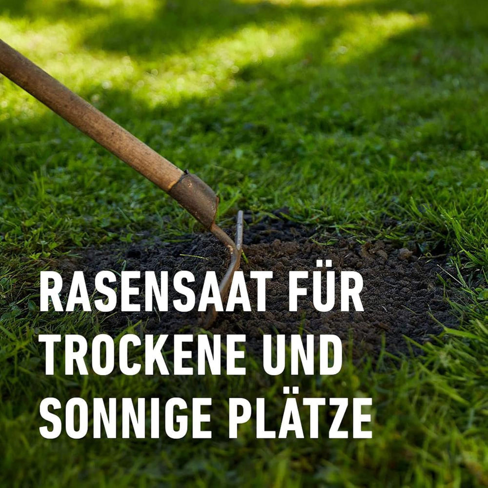 COMPO SAAT Trocken-Rasen, Hitze- Und Trockenverträgliche Rasensamen/Grassamen Für Trockene Und Sonnige Standorte, 2 Kg, 80 M²