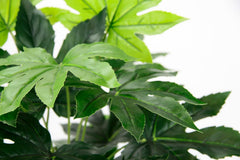 Künstliche Blattpflanze Im Topf Aralie 60 Cm Monstera Seidenblumen Real Touch Grün Kunstpflanzen Pflanzen Aralienpflanze Deko Dekopflanze Grünpflanze Seidenpflanze Zimmerpflanze Kunstblume Büropflanze