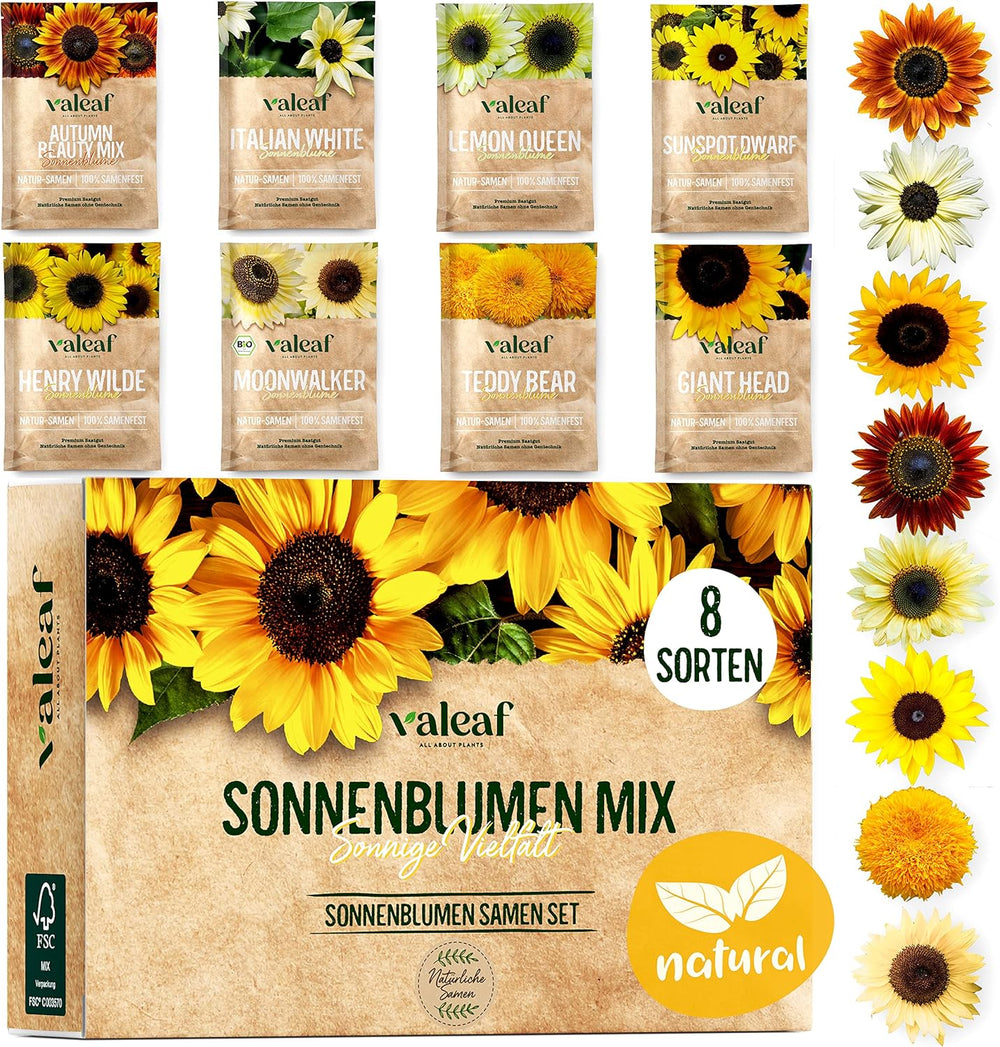 Sonnenblumenkern-Set - 8 Sorten Sonnenblumenkerne - Sonnenblumenkerne im praktischen Pflanzset - Sommerblumensamen, Wildblumenmischung - Blumensamen zum Einpflanzen