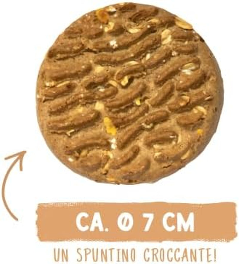 Sammy's Müsli-Münzen | Knusprig gebackene Snacks für Hunde | 5 Körner-Müsli-Münzen für Ihren großen pelzigen Freund (30 kg+) | 1 kg