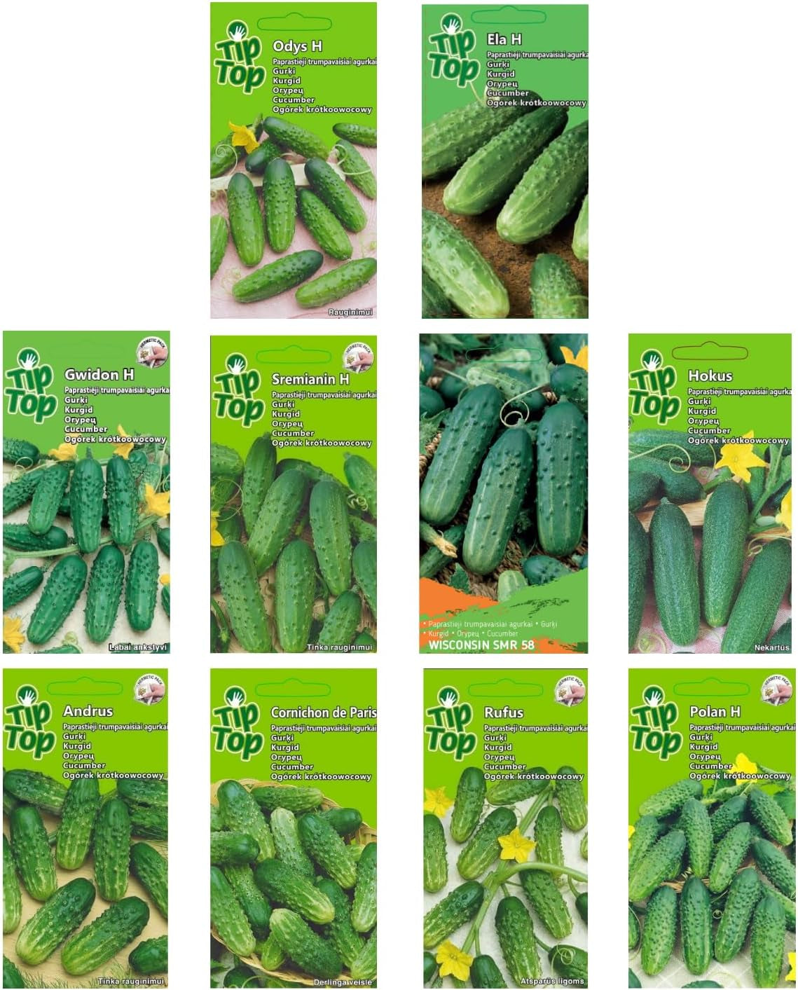 Nojus Gurken Samen Set – 10 Sorten – Verschiedene Gurkensamen Starter Kit - 10 Packen – Garten Samen Pflanzen Saatgut – Samen Gemüse Box 10 Sorten – Saatgut Box – Saat/Seeds