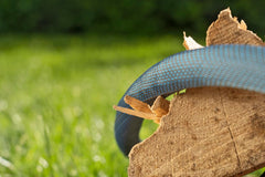 Set Gardena Liano Xtreme 1/2 inch, 10 m: Furtun de grădină extrem de robust din material textil, pentru robinete de interior, cu furtun interior din PVC, ușor, rezistent la intemperii (18460-20)