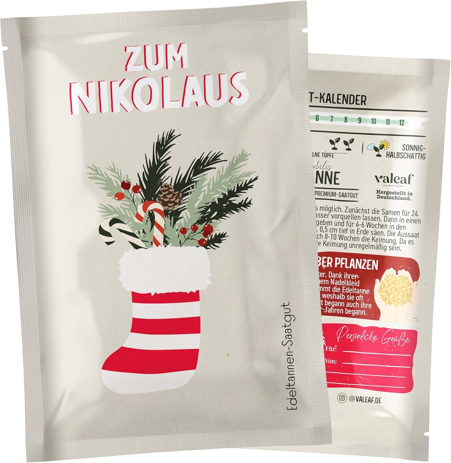 Weihnachtsbaum 2030 – Nordmann Weihnachtsbaumsamen zum Pflanzen eines Weihnachtsbaumes, ideal als Wichtelgeschenk zu Weihnachten