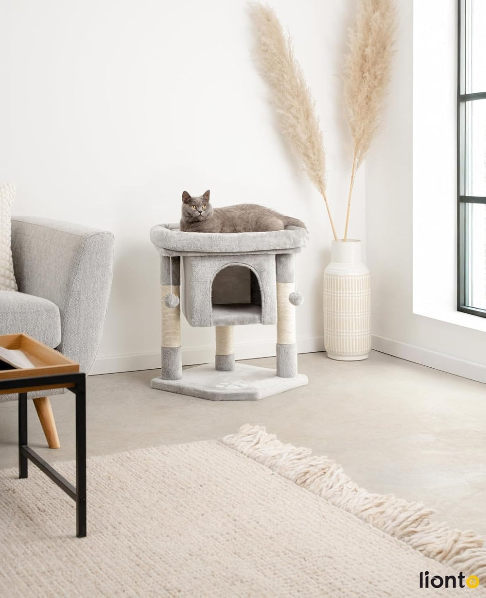 Pături & Mobilier, Animale de companie, Pisici, Paturi pentru pisici, Scratching Post, Pisici - culcusuri, saltele