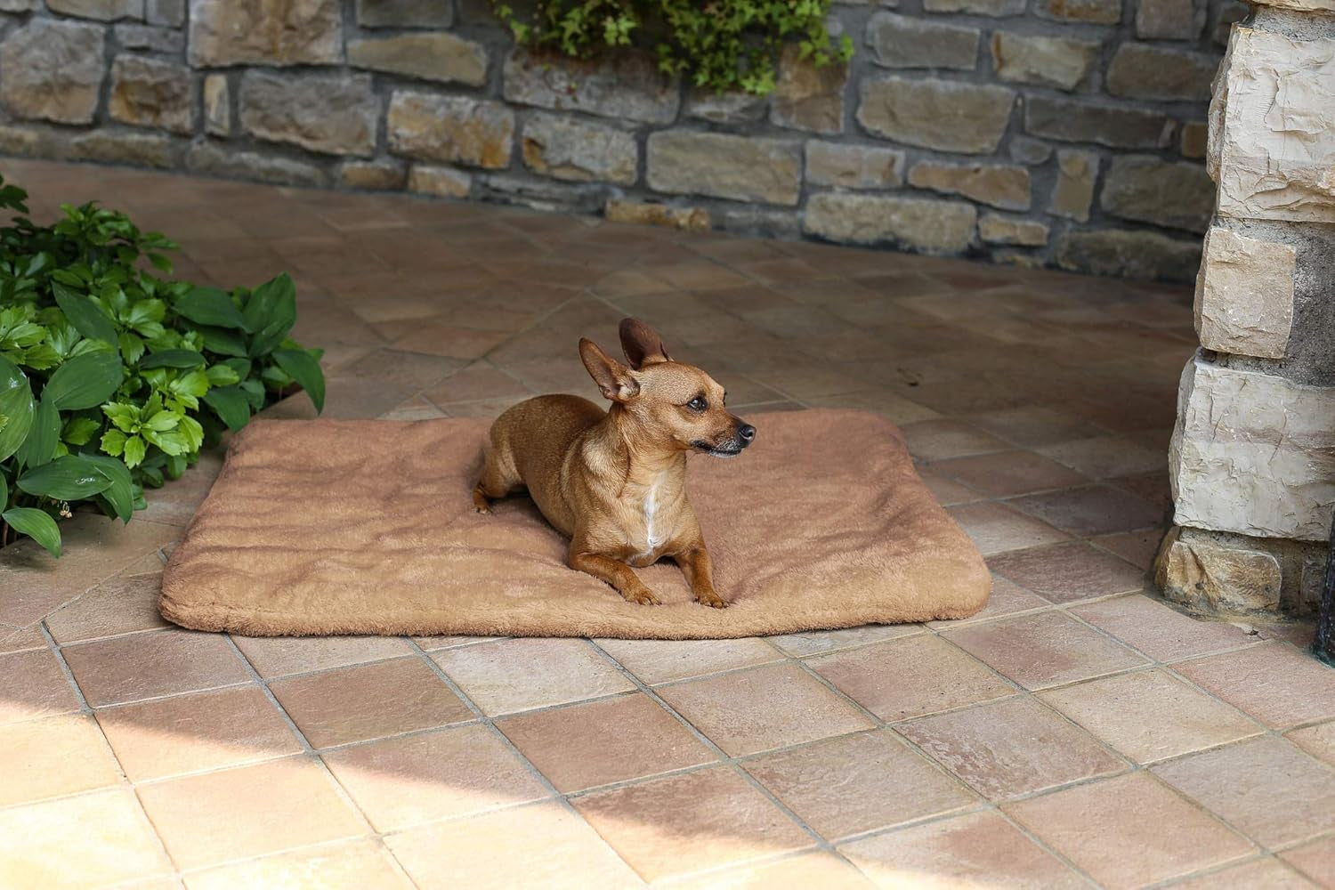 Sogni E Capricci Super Soft Mat, Creme, 104X75CM, Polyester, Decken und Steppdecken Naty Shop Brown 62X50Cm