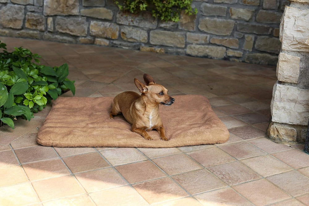 Sogni E Capricci Super Soft Mat, Creme, 104X75CM, Polyester, Decken und Steppdecken Naty Shop Brown 62X50Cm