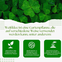 Mikroklee - Weißklee Trifolium Repens 500G - Rasenklee Bereichert Den Rasen - Klee Samen Zur Anlockung Von Bienen -Saatgut Für Gleichmäßige, Dichte Grasnarbe Das Ganze Jahr Über