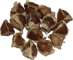 Moringa - Moringa oleifera - 10 Samen *Auch Meerrettichbaum genannt*