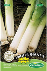 Lauch WINTER GIANT, Mehrfarbig, EC1017