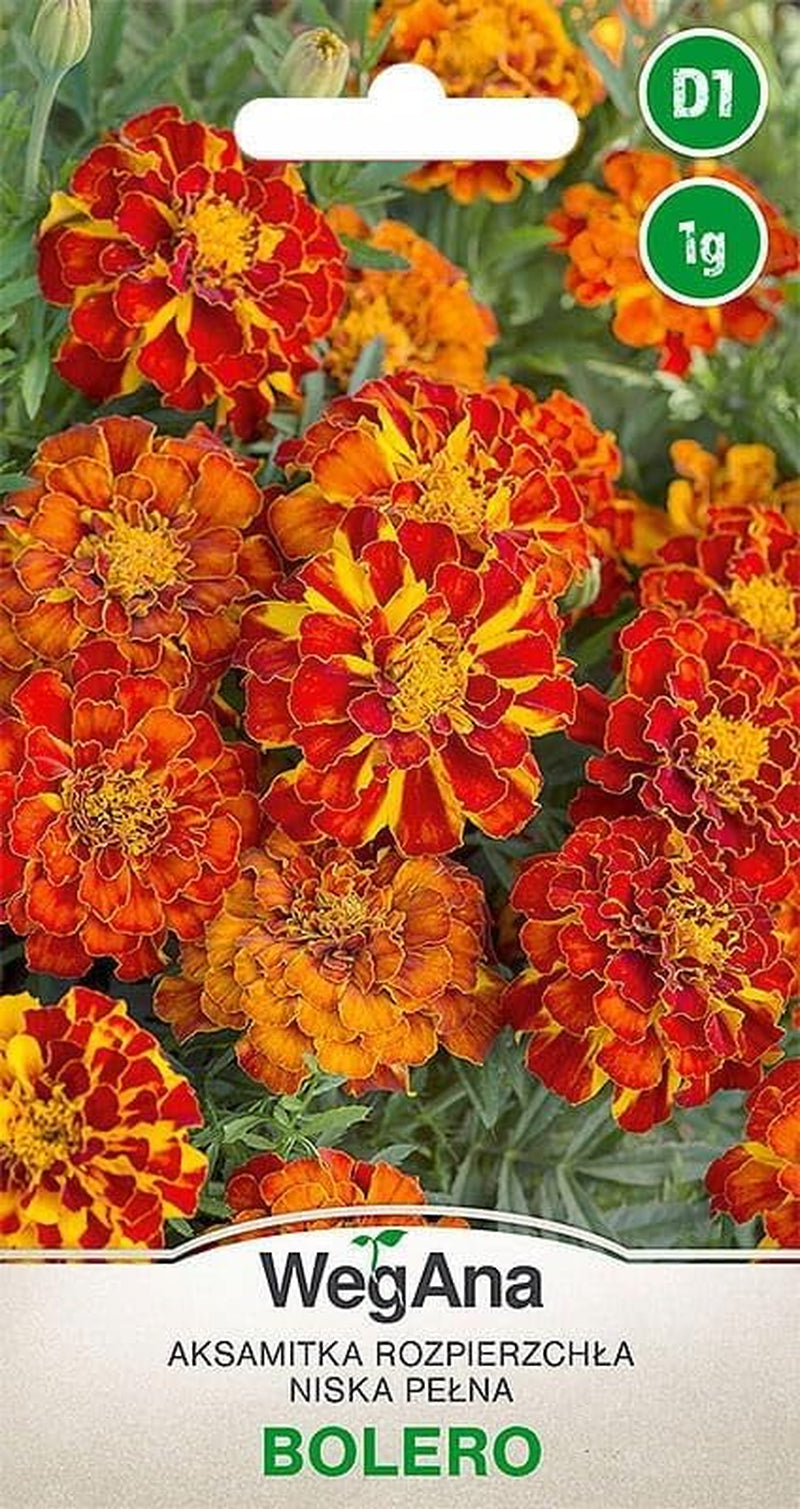 Cosmos Sensation Mix 1g Samen, Cosmos Mix Sommerblumen, Gartenpflanzen Balkonpflanzen, Blumensamen