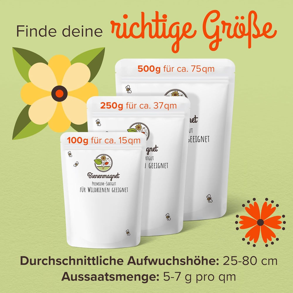 100 g Premium-Wildblumensamen für eine farbenfrohe Blumenwiese – lebendige und nektarreiche Blumensamenmischung für Bienen und Schmetterlinge (inklusive kostenlosem E-Book)