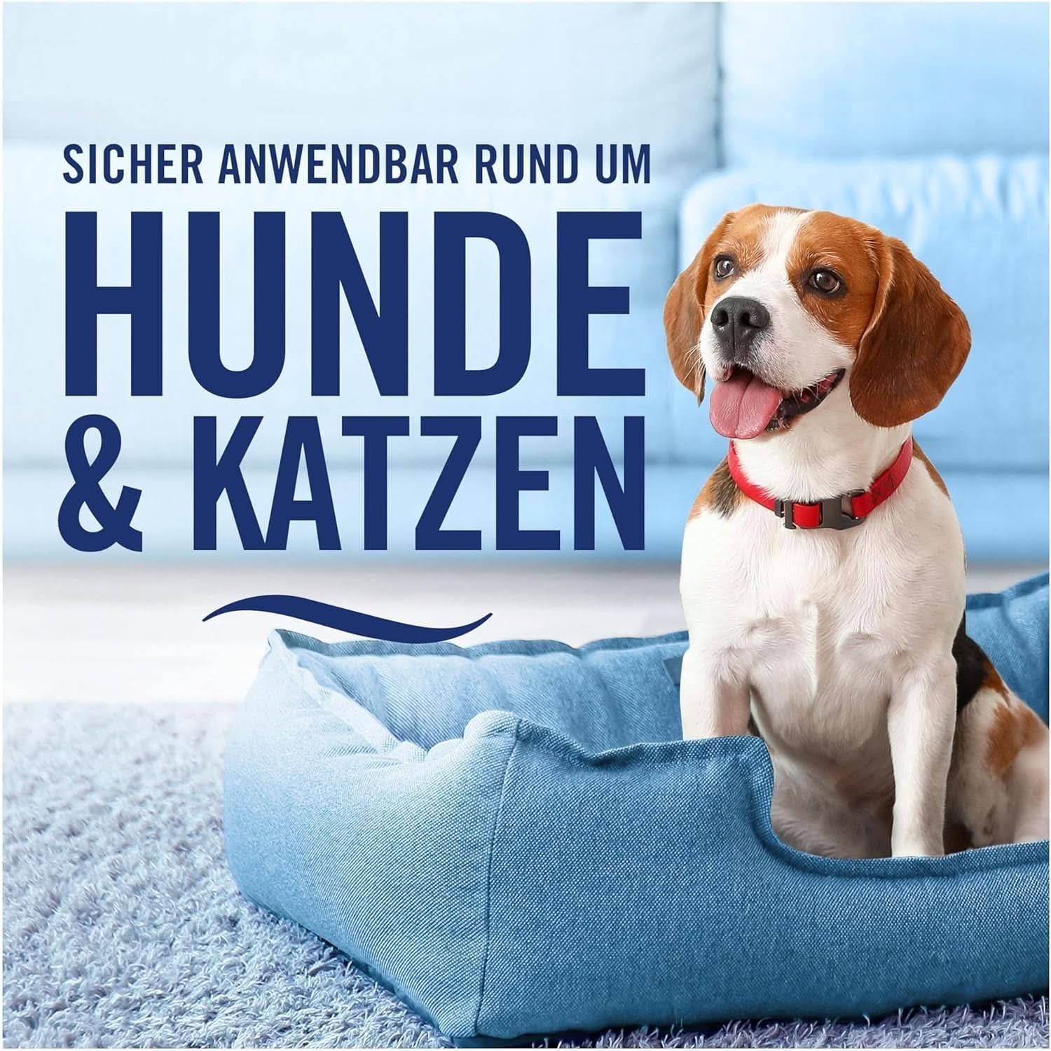 Febreze Textilwaschmittel Lenor Amethyst Floral Dream, blau, 500 ml Waschmittel Rufe Naty Shop