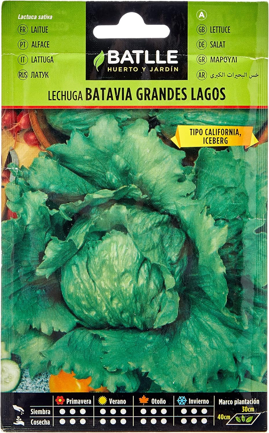 Batlle Gemüsesamen - Frühlings Kopfsalat Dorada De Primavera (6400 Samen)