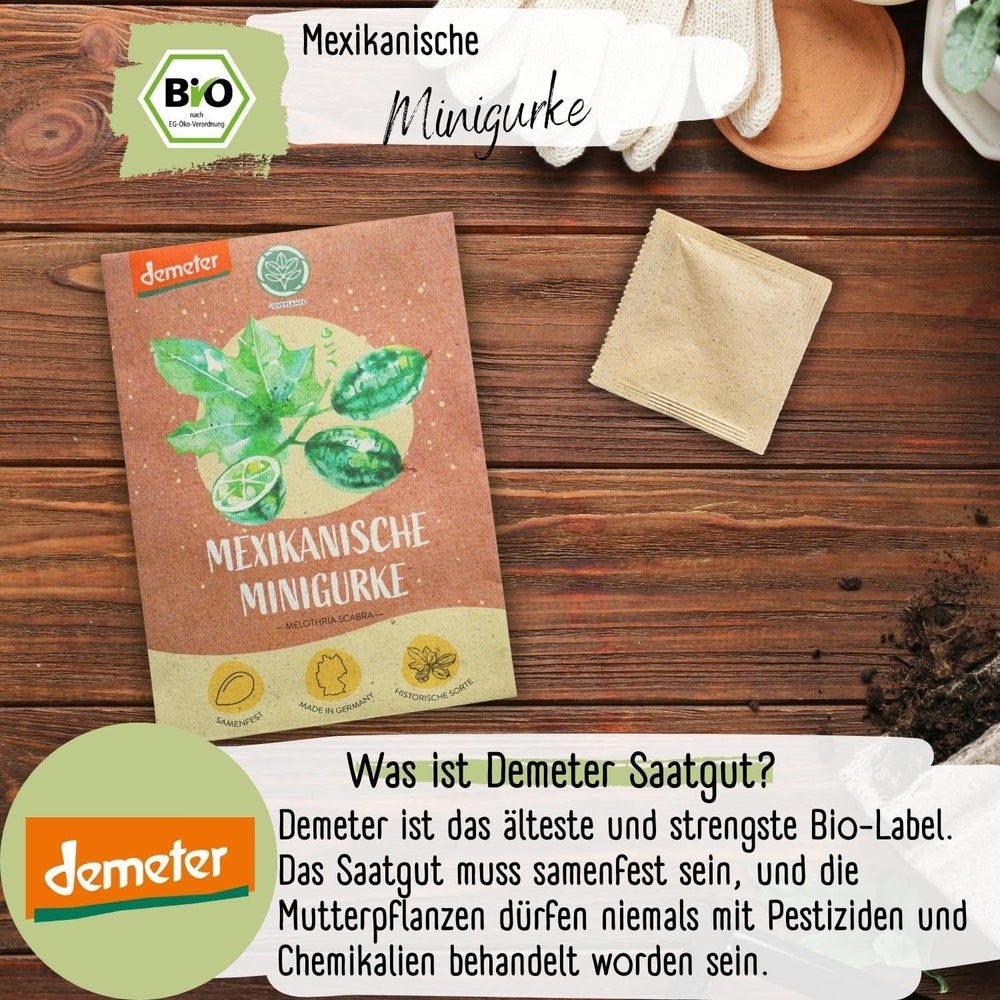 Semințe de castraveți mini mexicani organici, 10 semințe de castraveți gustare, rată mare de germinare, certificate Demeter și polenizate deschis | Semințe de legume de la LOVEPLANTS, pentru balcon, grădină, strat înălțat – Soiuri de legume Heirloom