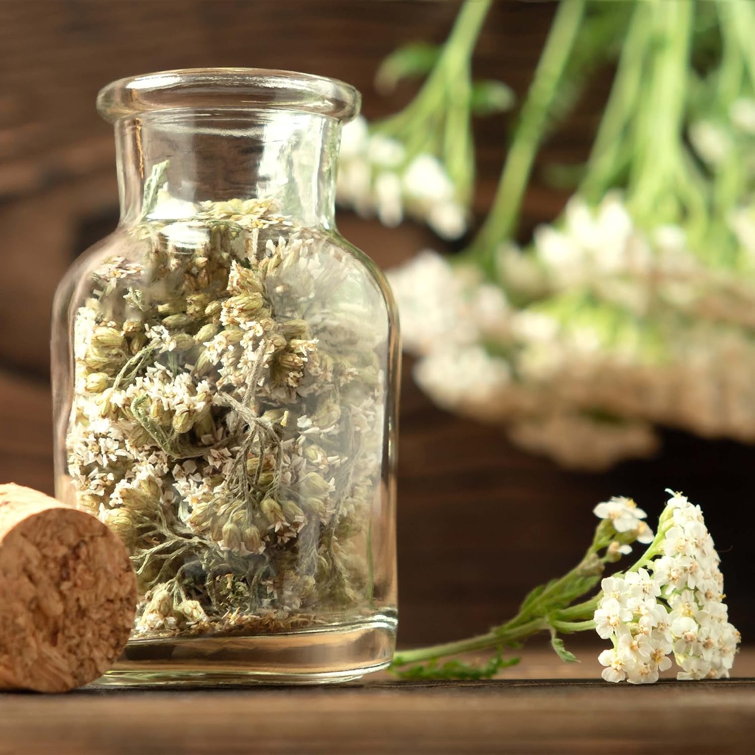 Teesamen-Set: 8 Sorten Samen für Balkon und Garten - Minze, Kamille, Anis, Brennnessel, Malve - Pflanzensamen - Tee - Teebox - OwnGrown-Pflanzen