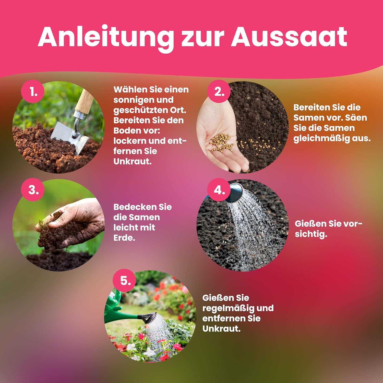 LERAVA-Blumensamen (12 Sorten) – winterharte Stauden – Garten- und Balkonsamen – schnelle Keimung für einfache Aussaat – pflegeleichte Blumenmischung für kontinuierliche Blüte