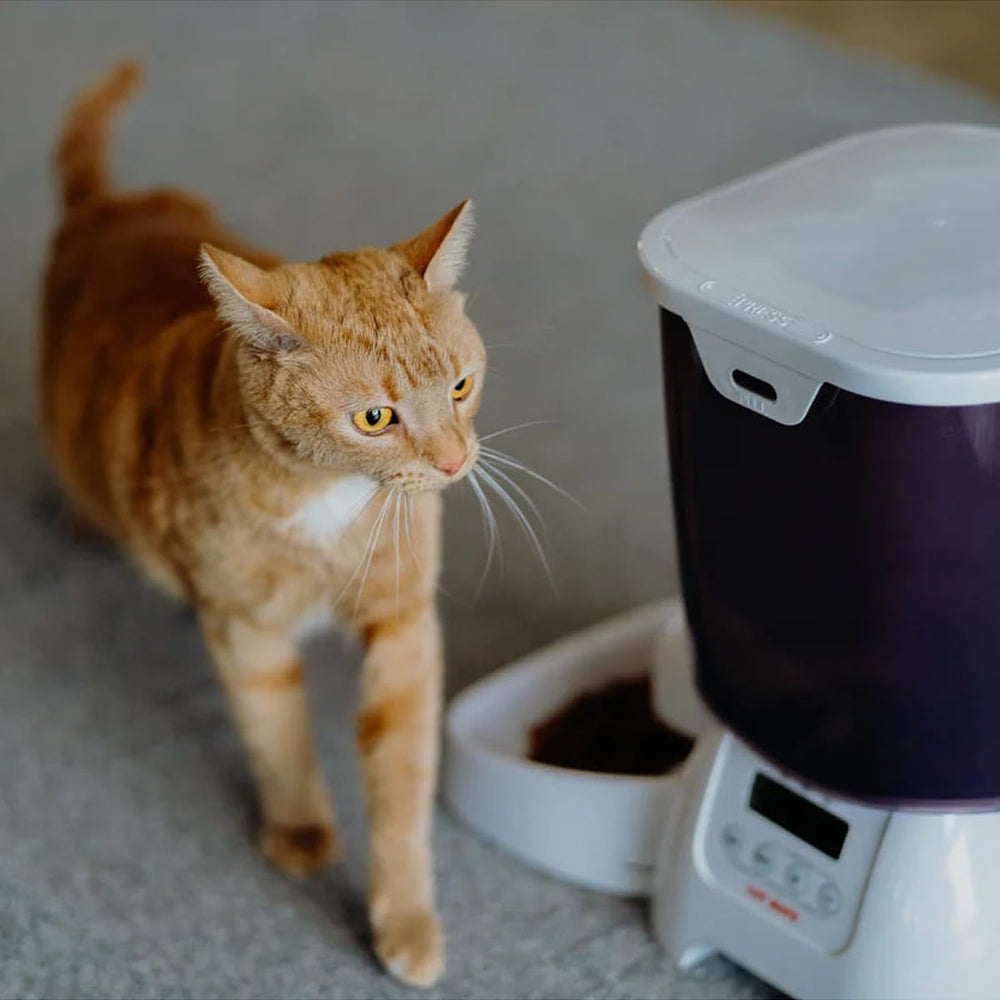 Dozator automat de alimente uscate L: 21,1 cm lățime: 21,1 cm înălțime: 36,8 cm 3 kg 905 g