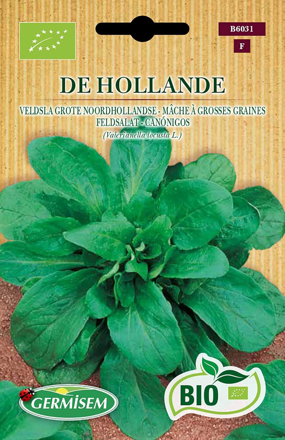 Schnittsalat BABY LEAF ASIAN MIX, ECBIO6022