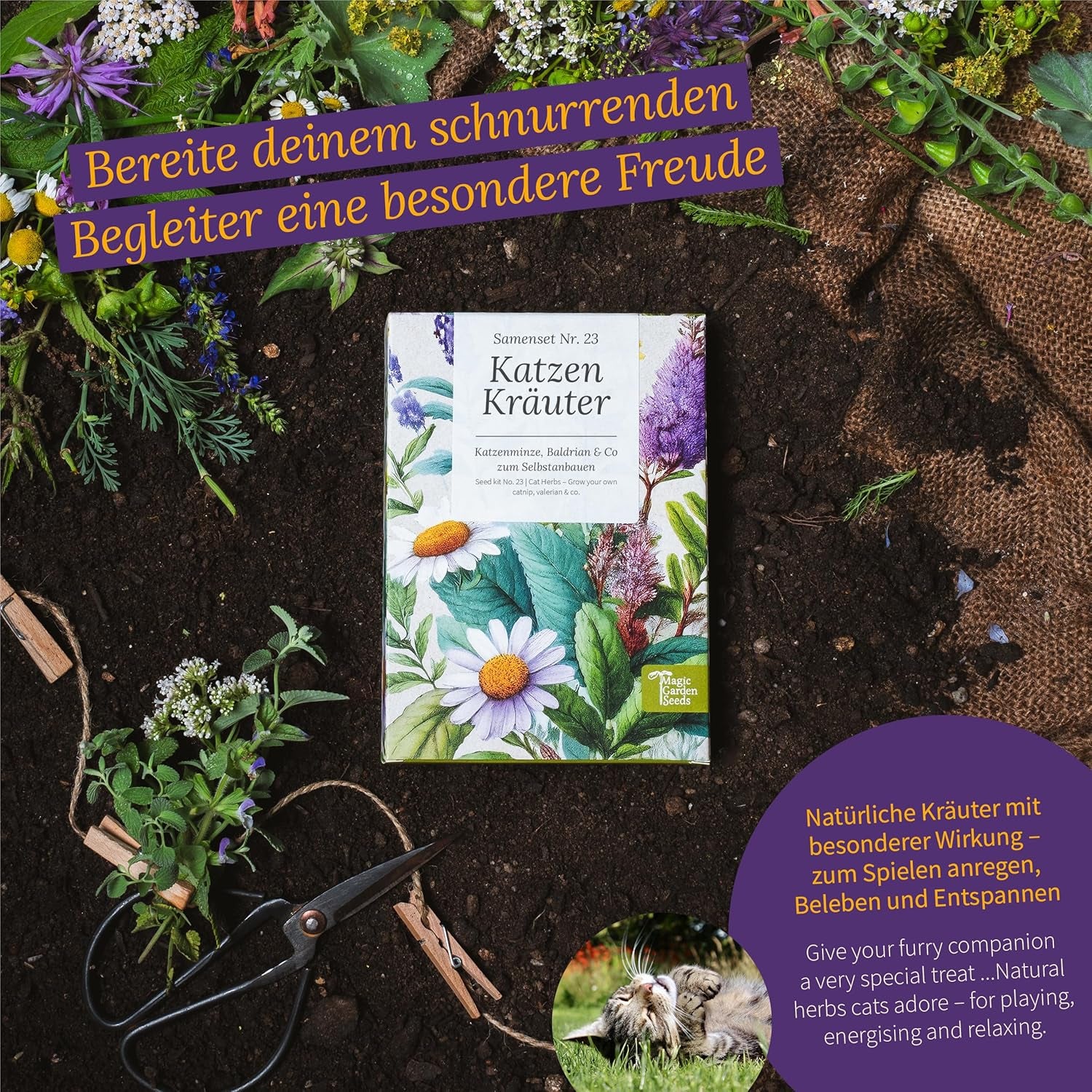 Magic Garden Seeds – Kräuter für Katzen: Katzenminze, Baldrian, Salbei und Katzenminze – Samenbox mit 4 Pflanzen zum Spielen, Knabbern und Entspannen