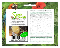 Stk - 5X Astrophytum Ornatum - Sternkaktus Kakteen Kaktus Pflanzen - Samen ID1649 -