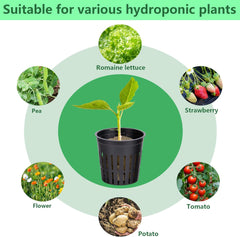 76 Stück Hydrokultur Pflanzen Net Kit -20 Stück 2inch(5cm)-Topfbecher mit geschlitztem Netz, 36Stück Steinwolle Anzucht, 20Stück Artikel Selbstbewässernde Dochtschnur aus Baumwolle für Hydrokultur
